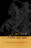Boban Knezevic: Black Blossom